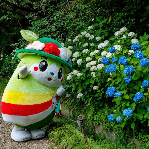 おみつさま　4号ふっくら丸鉢 白色たまごのうさぎさん クリスマスバージョンＢ おみつさま 4号ふっくら丸鉢 白色たまごのうさぎさん クリスマス