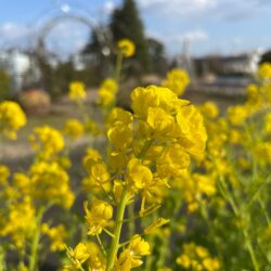 はままつフラワーパーク 公式サイト 世界の花のテーマパーク