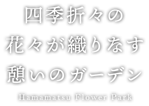 四季折々の花々が織りなす憩いのガーデン Hamamatsu Flower Park