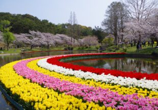 浜名湖花フェスタ21 News はままつフラワーパーク 公式サイト