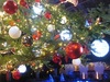 クリスマス展示