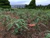 秋へ向けて
