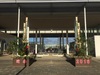 門松展示