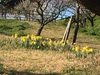 園内の様子（3月9日）