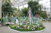 温室の見ごろの花　4/4