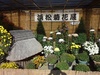 菊花展