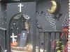 フラ、ハロウィン、そしてブルービー