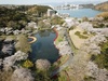4/7  満開が続いております！！
