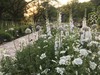 植物の形を楽しんで