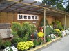 第68回11月2日より浜松菊花大会が始まりました。