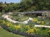 4/29　ＧＷに見頃の花たちを写真でお届け致します！！