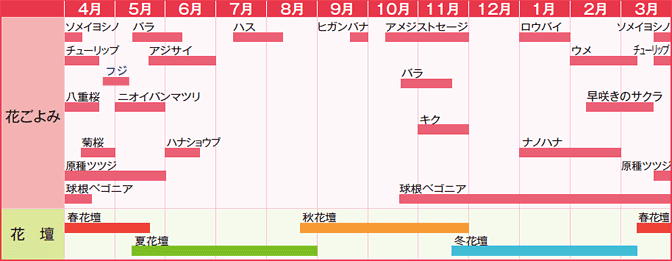 花の見頃時期カレンダー