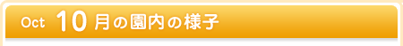 10月の園内の様子