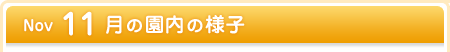 11月の園内の様子