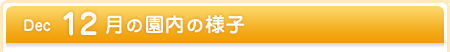 12月の園内の様子