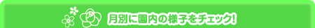 月別に園内の様子をチェック！