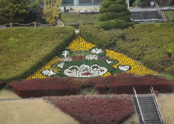 絵花壇ふらまる.JPG