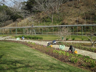 Ｋ作業風景IMG_9808.JPG