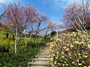 R3.2.28_140646.jpg