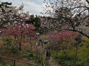 R3.2.28_141241.jpg