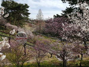 R3.2.28_141519.jpg