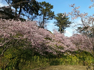 R3.2.28_161013.jpg