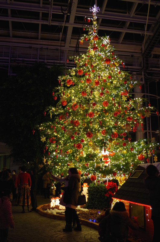 https://e-flowerpark.com/old_2103/event/2015/09/23/img/illumi02.JPG