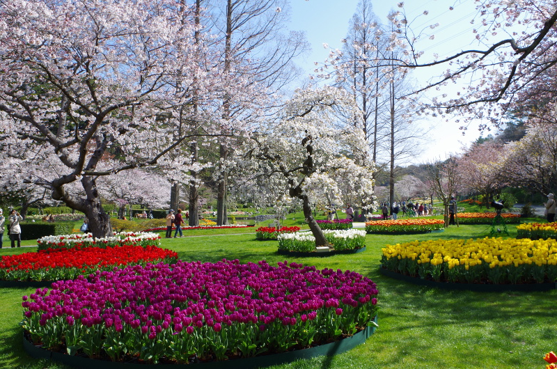 https://e-flowerpark.com/old_2103/event/2016/01/09/img/201502.JPG