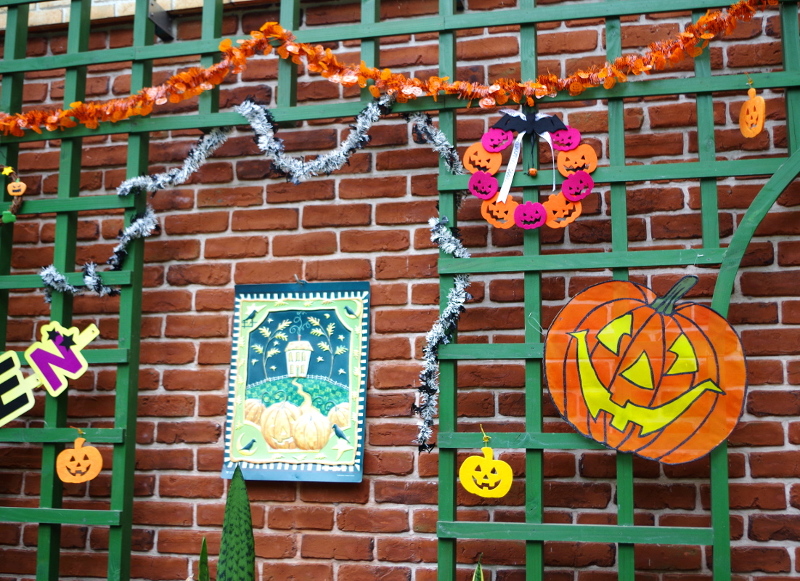 https://e-flowerpark.com/old_2103/event/2017/10/02/img/04IMGP7860.JPG