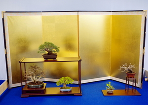 bonsai02.JPG