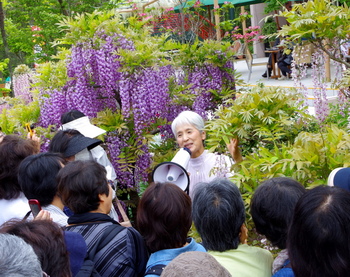 fuji-kyoshitsu.JPG