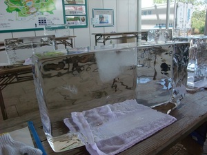 sDSCF7453.jpg