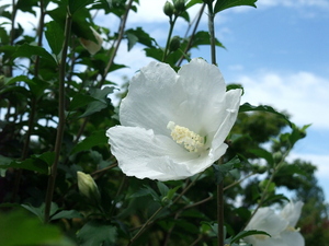 sanpo07.jpg