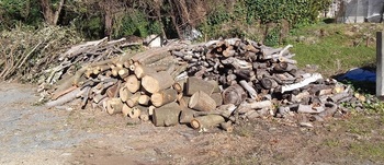 ssDSCF4205.jpg