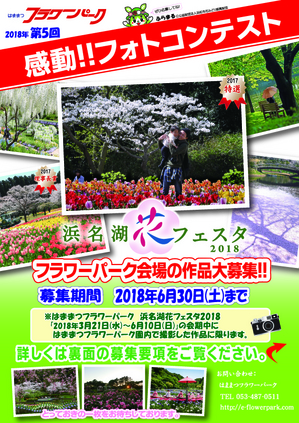 A4omote180305fpfc-01.jpg