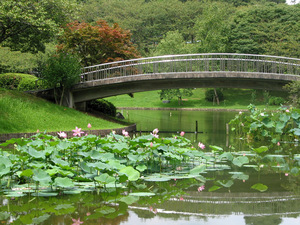 hanawalk07.jpg