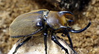 giasuporiIMGP5048.JPG