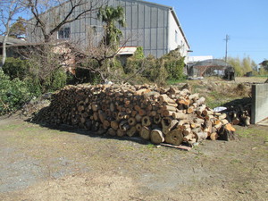 IMG_5667.JPG