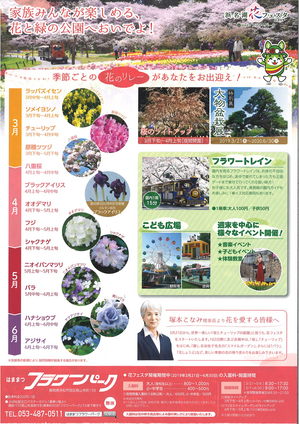 hanafesuta2019-1-ura.jpg