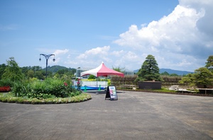 IMGP5589.JPG