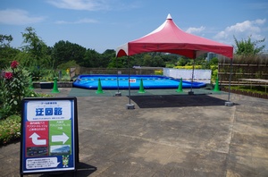 IMGP5590.JPG