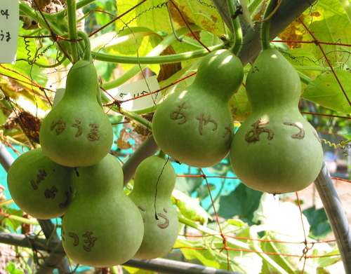 hyotan01.JPG