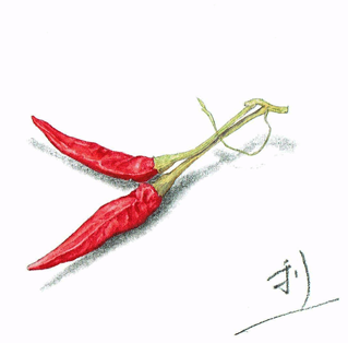 botanical02.png