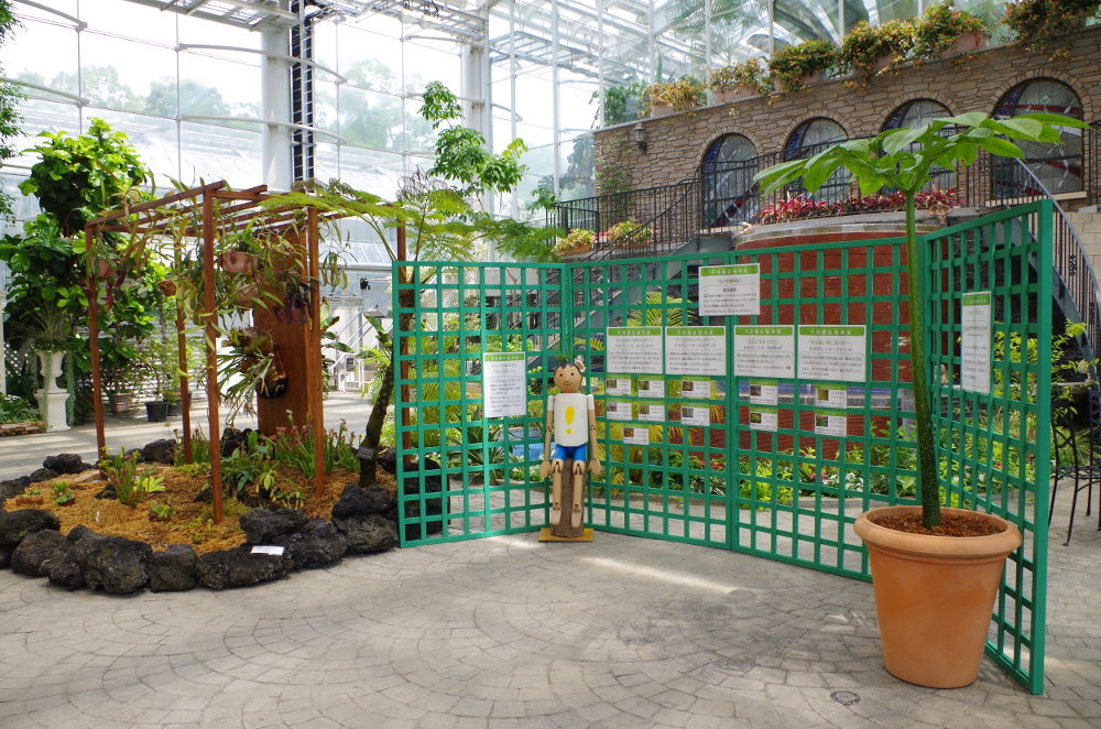 https://e-flowerpark.com/old_2103/event/img/fusigi-1.JPG