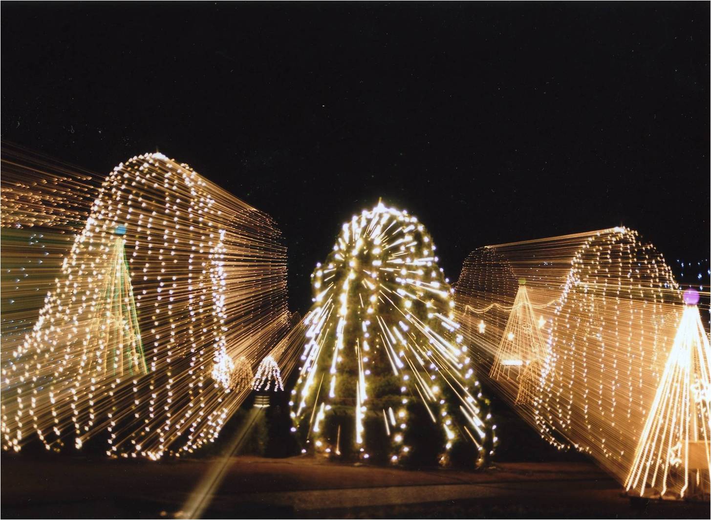 ill02.jpg