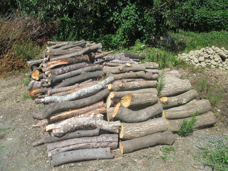 sIMG_3391.jpg