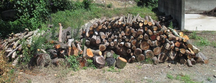 ssIMG_3394.jpg