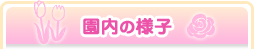 園内の様子