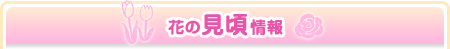 園内の様子