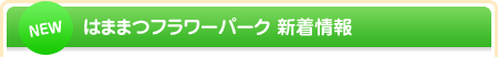 新着情報